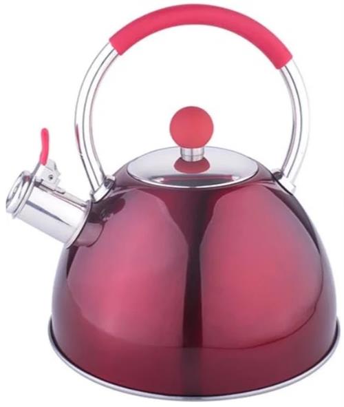 Totally Stove Top 3 Litre Kettle –High Quality – Proximate Infotech